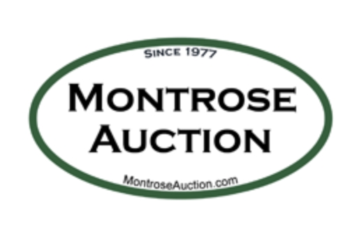 Montrose Auction Inc